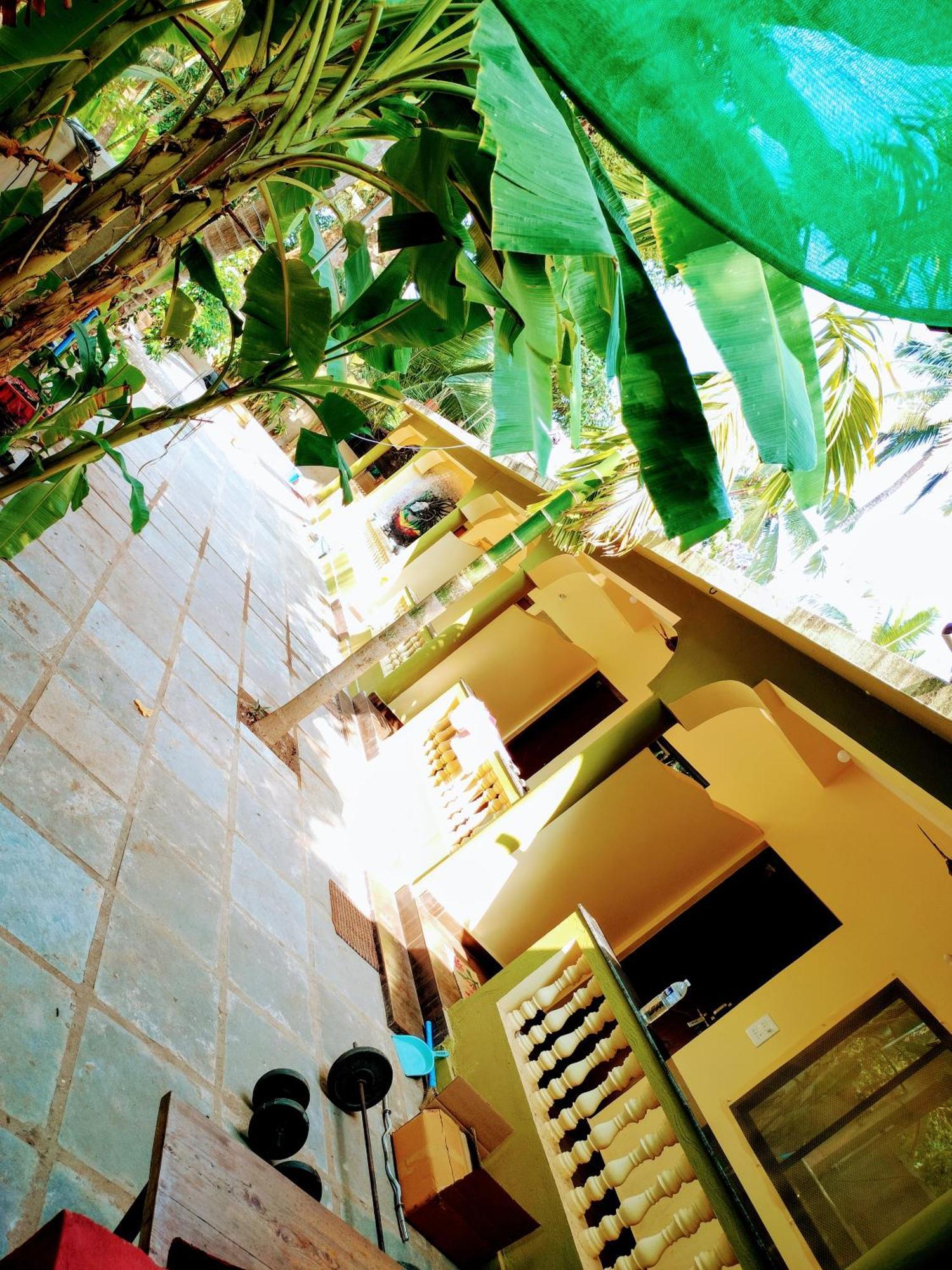 One Love Guest House Morjim Bagian luar foto